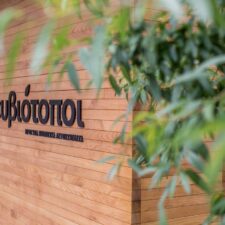 36282614_1835911053135432_6953518495644516352_n 36282614_1835911053135432_6953518495644516352_n